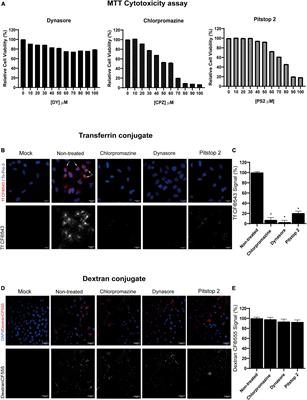 Pseudorabies virus uses clathrin mediated endocytosis to enter PK15 swine cell line